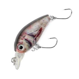 Major Fish Forellen Barsch Wobbler Lil Bill Crankbait 38 mm Real Roach