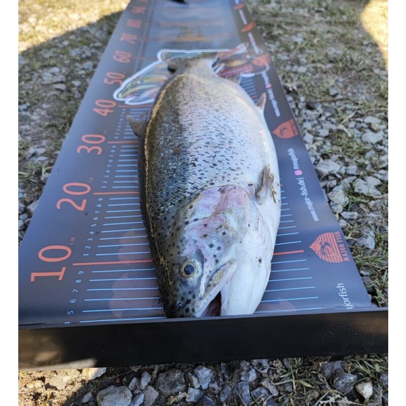 Major Fish Fisch Maßband Trout Ruler 105 cm x 30 cm mit Anschlag