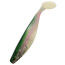 Shadxperts Xtrasoft Nature 6" Shad 16 cm 2...