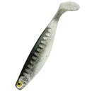 Shadxperts Xtrasoft Nature 6" Shad 16 cm 2...
