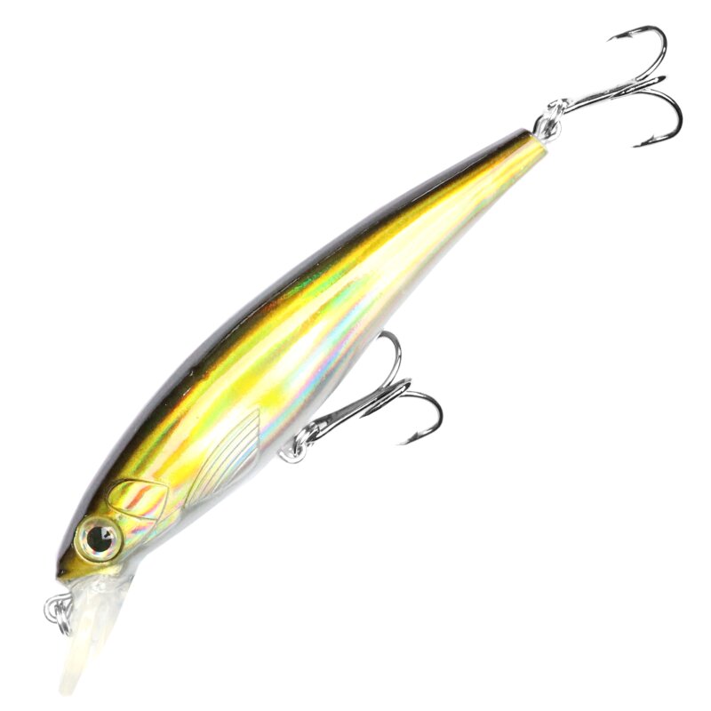 Gold Shiner