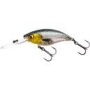 Westin Buzzbite Crankbait Wobbler 4 cm 4g Low Floating 3D...