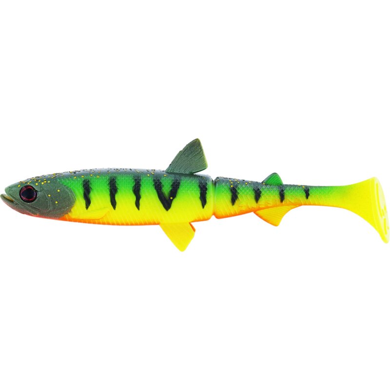 Tiger Perch