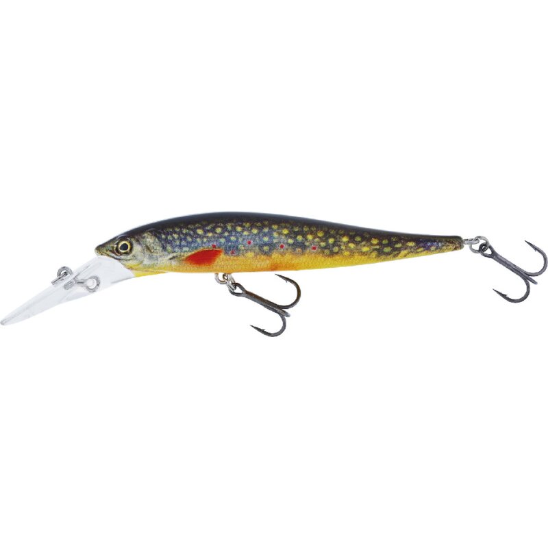 Brook Trout Fry