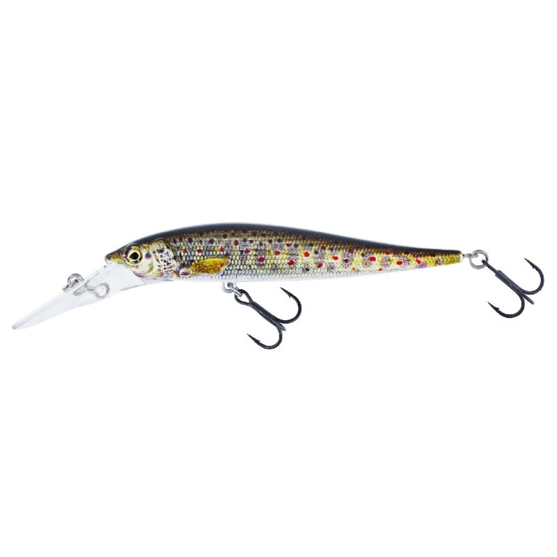 Brown Trout Fry