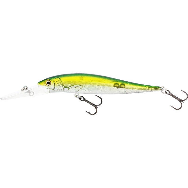 Olive Minnow