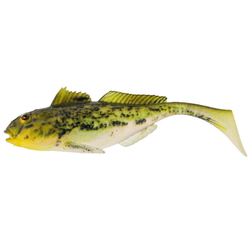 Headlight Goby