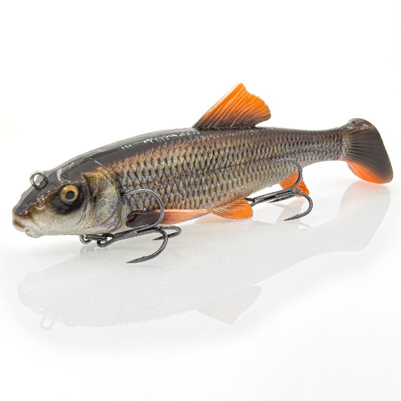 White Sucker
