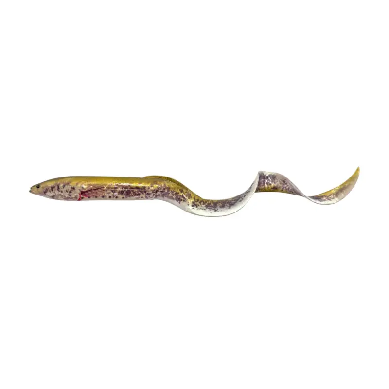 Green Lamprey