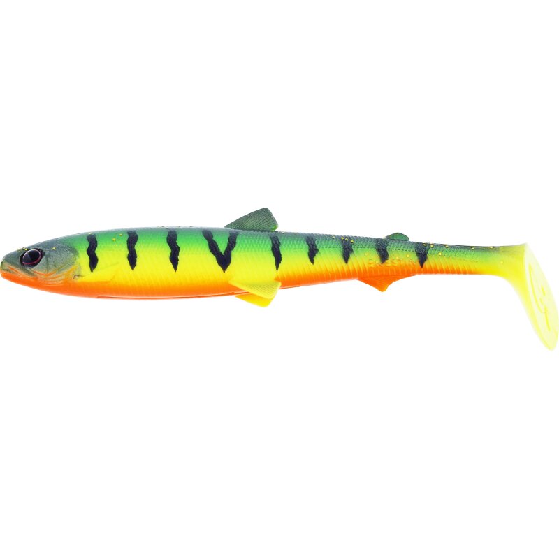 Tiger Perch