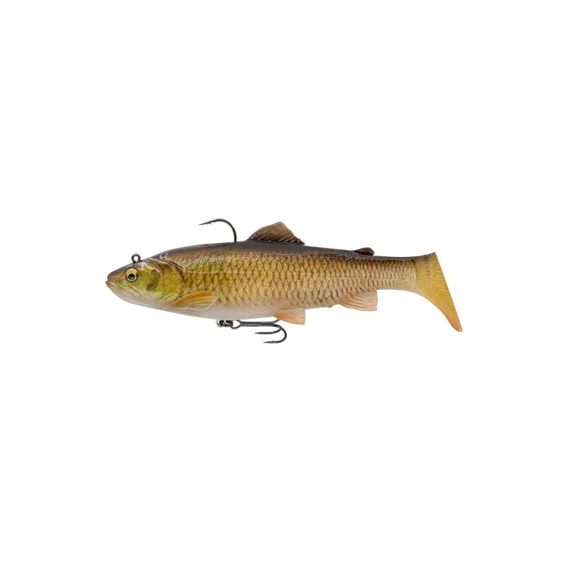 Clear Chub