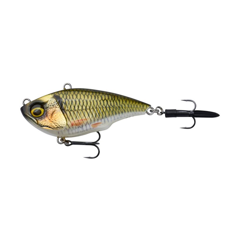 Bream
