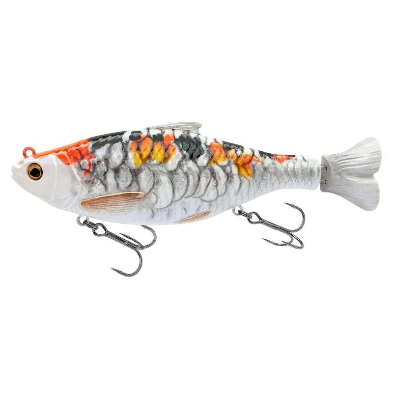 Koi
