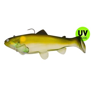 Castaic Swimbait Trout 2.0 Austrian Edition Sinking 10" 25 cm Ghost Ayu