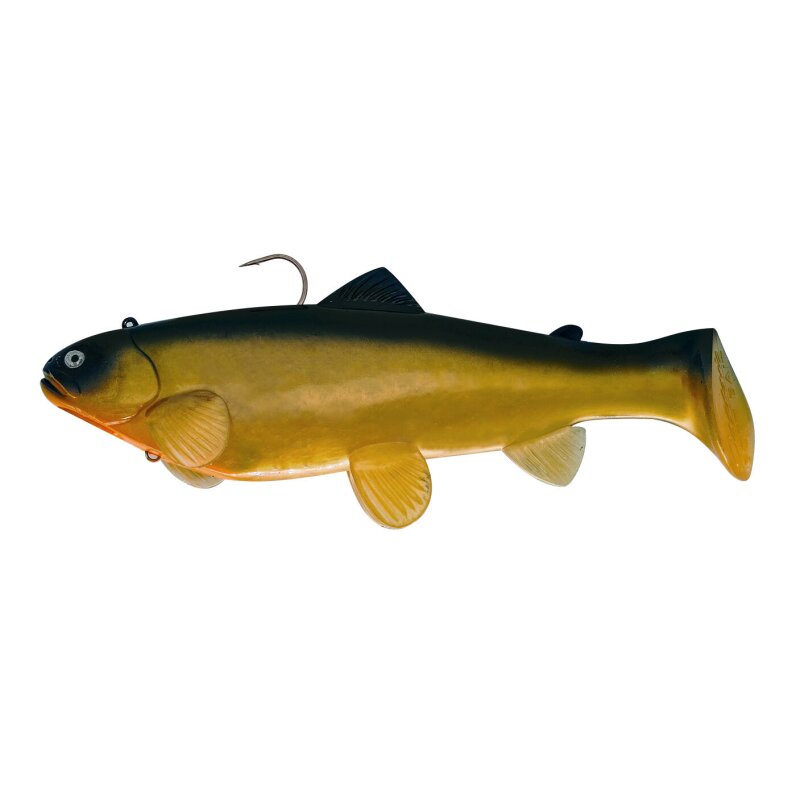 Golden Shiner