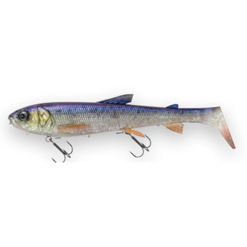 Whitefish