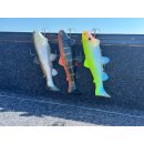 Castaic Swimbait Trout 2.0 Austrian Edition Sinking 10" 25 cm Ghost Blue Shad