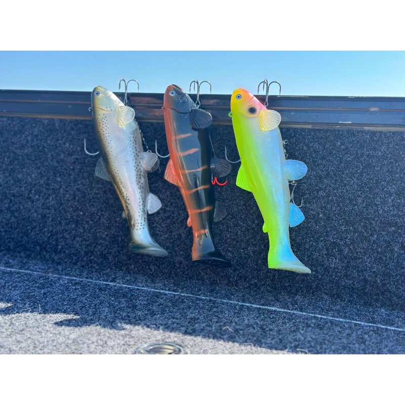 Castaic Swimbait Trout 2.0 Austrian Edition Sinking 10" 25 cm Ghost Blue Shad