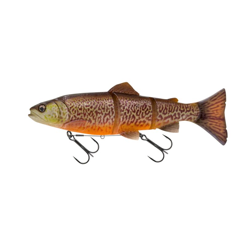 Tiger Trout