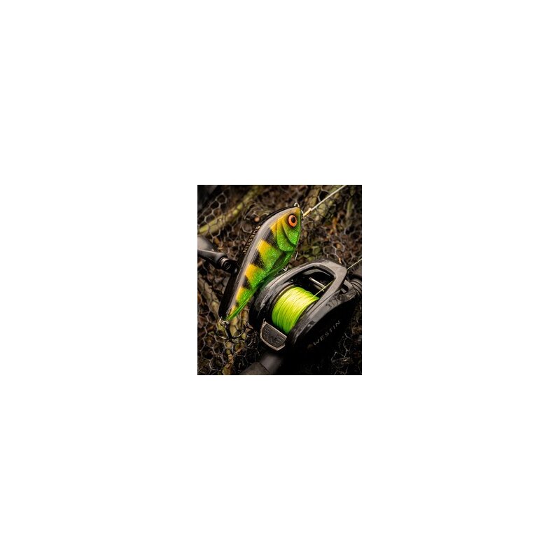Westin Swim Glidebait 12 cm 58 Gramm Sinking Limited 2026 3D magig Perch
