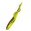 Relax Wing Shad 3" 5 Stück (ca. 8,5 cm) im ZIP...