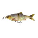Savage Gear 3D Glide Roach 17 cm 78 g Hugo