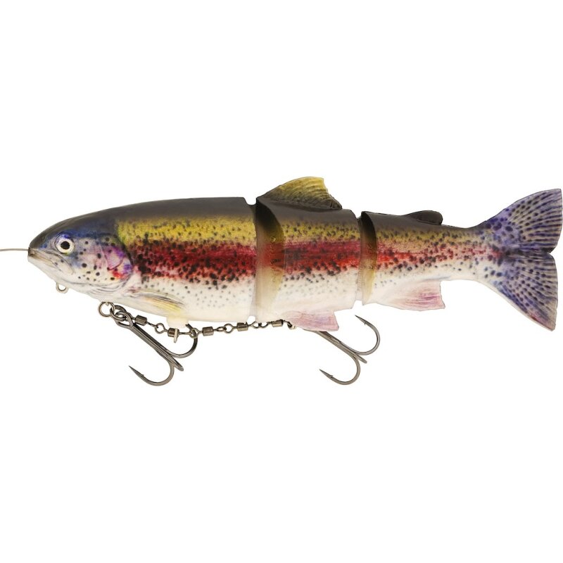 Real Rainbow Trout