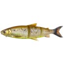 Savage Gear 3D LT Whitefish 17 cm 53 g MS Brown Chartreuse