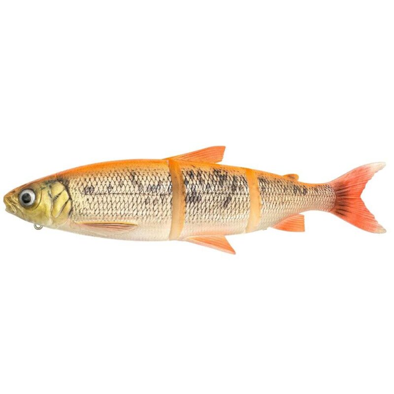 Golden Albino
