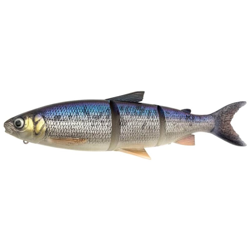 Whitefish