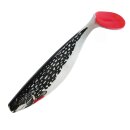 ShadXperts Xtra-Soft Nature 6" 16 cm Shad  5 Stück