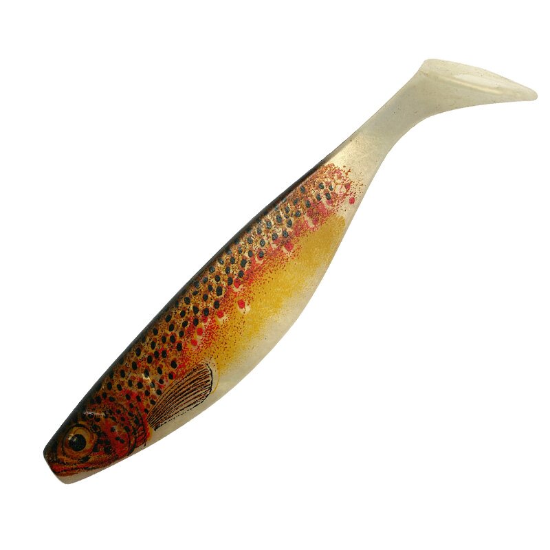 BT Bachforelle