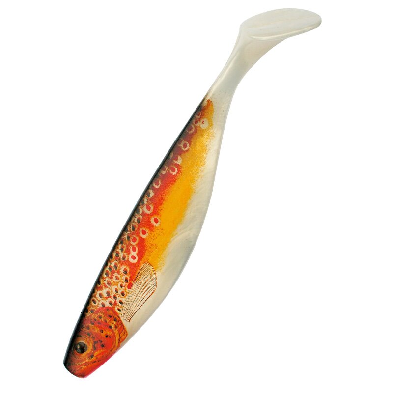025F goldperl / Bachforelle